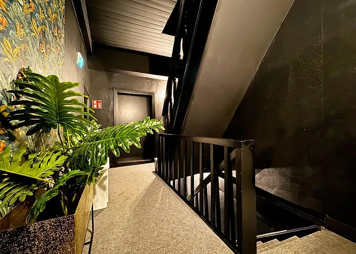 Hotel Friedrich Bett